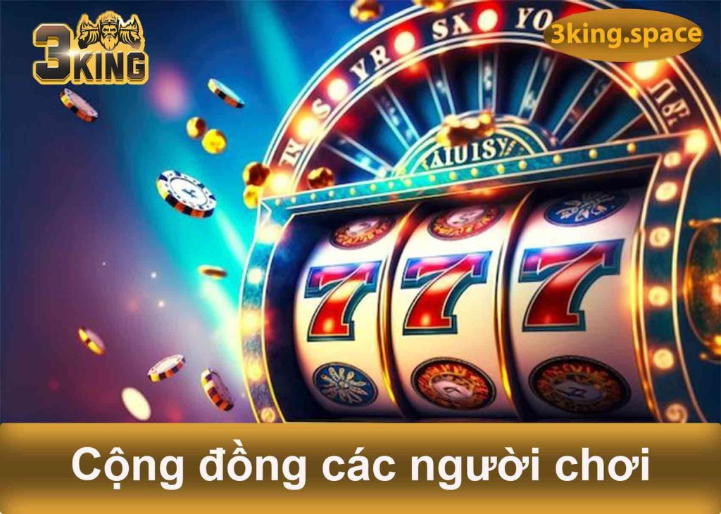 cộng đồng các người chơi