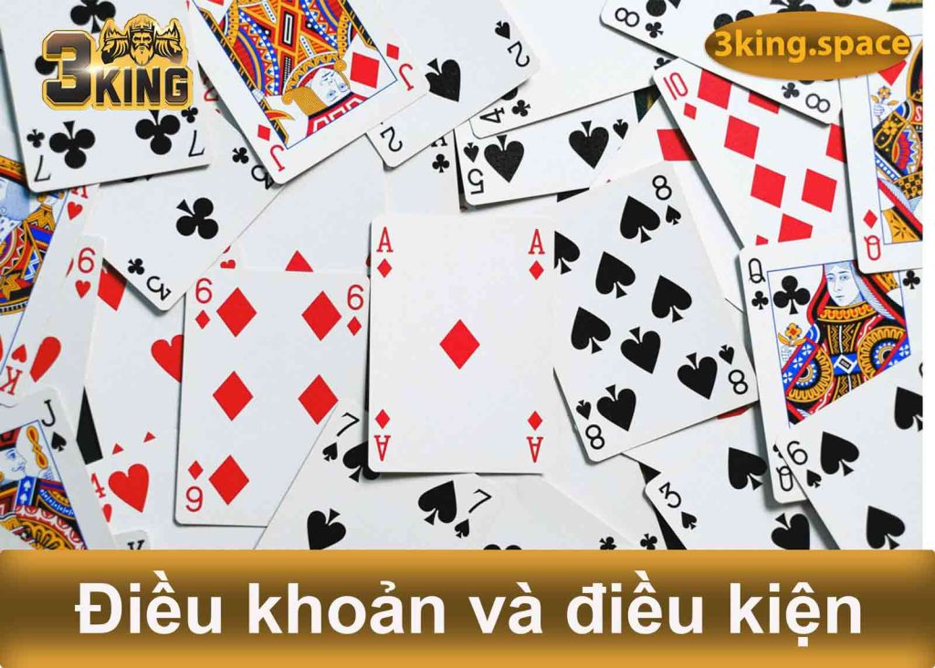 Điều khoản và điều kiện