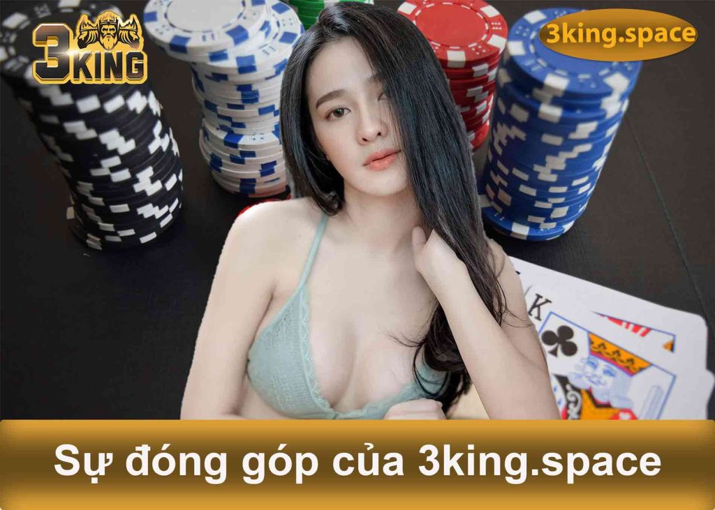 sự đóng góp của 3king.space